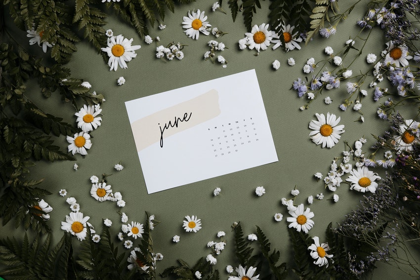 petite carte avec le calendrier du mois de juin entouree de petites marguerites